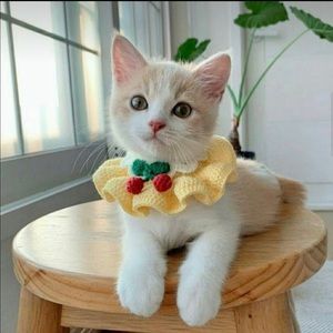 Crocheted collar for cat ir dog